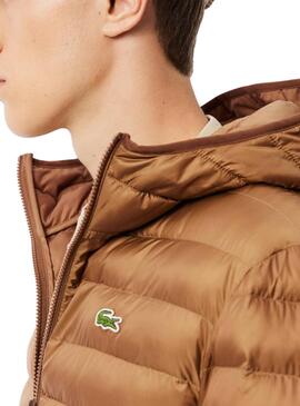 Jaqueta acolchoada Lacoste camel para homem