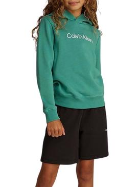 Moletom Calvin Klein Institutional Logo verde.